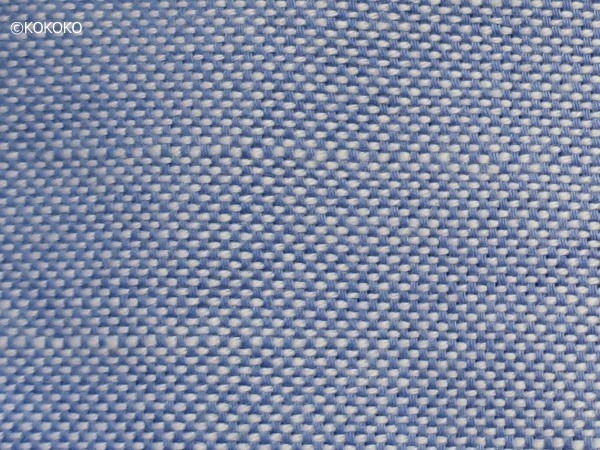 BOLZONELLA