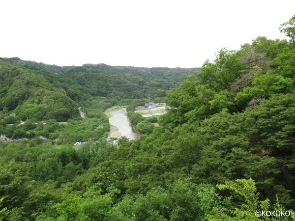 157-2.jpg