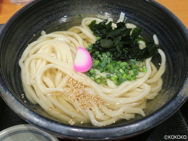 さいた川 西葛西 一風変わった讃岐うどん店 Middleage散財日記